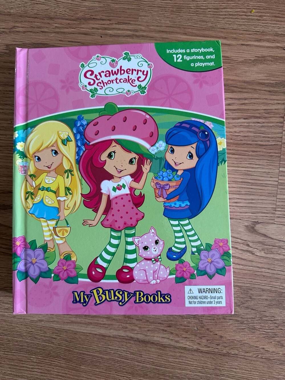Strawberry Shortcake My Busy Books Activity Kit with Figurines and Playmat